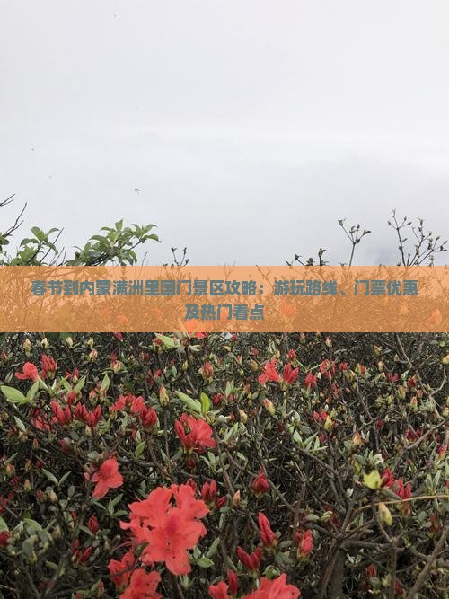 春节到内蒙满洲里国门景区攻略：游玩路线、门票优惠及热门看点