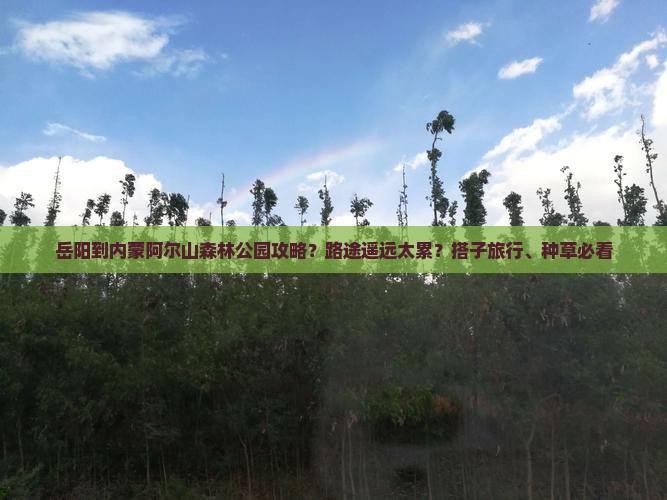 岳阳到内蒙阿尔山森林公园攻略？路途遥远太累？搭子旅行、种草必看