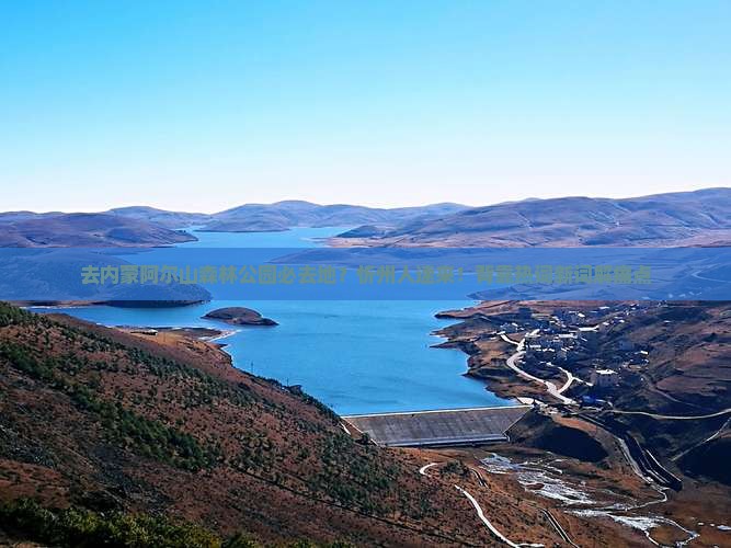 去内蒙阿尔山森林公园必去地？忻州人速来！背靠热词新词解痛点
