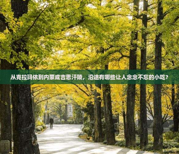 从克拉玛依到内蒙成吉思汗陵，沿途有哪些让人念念不忘的小吃？