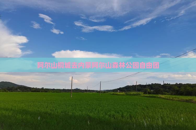 阿尔山桐城去内蒙阿尔山森林公园自由团