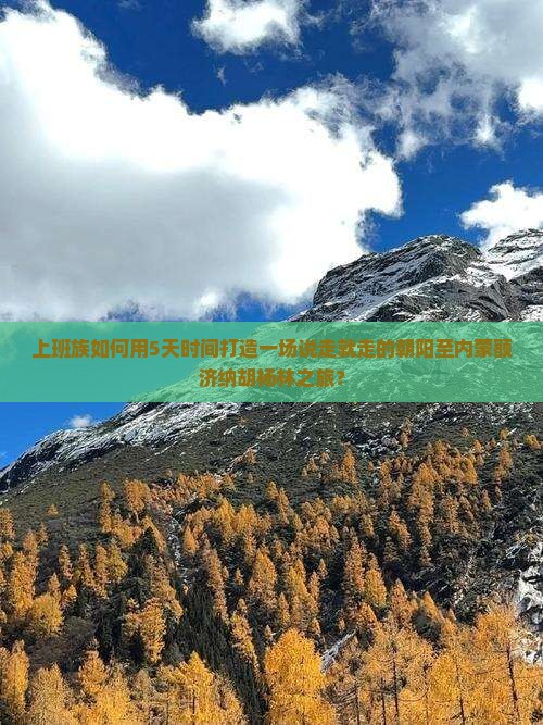 上班族如何用5天时间打造一场说走就走的朝阳至内蒙额济纳胡杨林之旅？