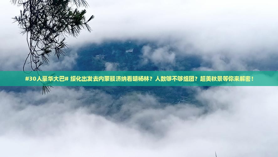 #30人豪华大巴# 绥化出发去内蒙额济纳看胡杨林？人数够不够组团？超美秋景等你来解密！