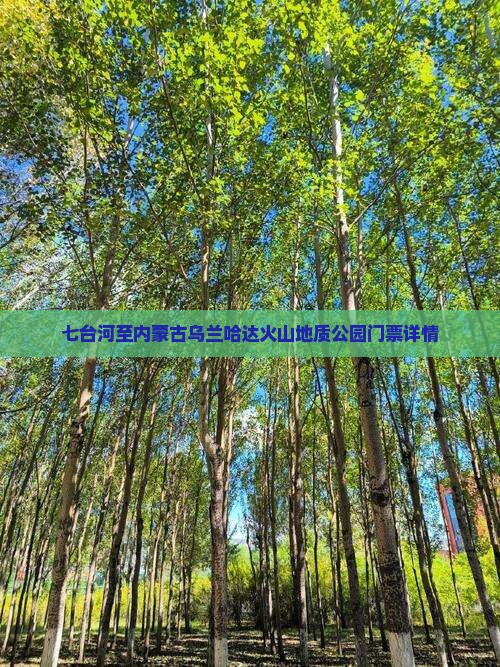 七台河至内蒙古乌兰哈达火山地质公园门票详情