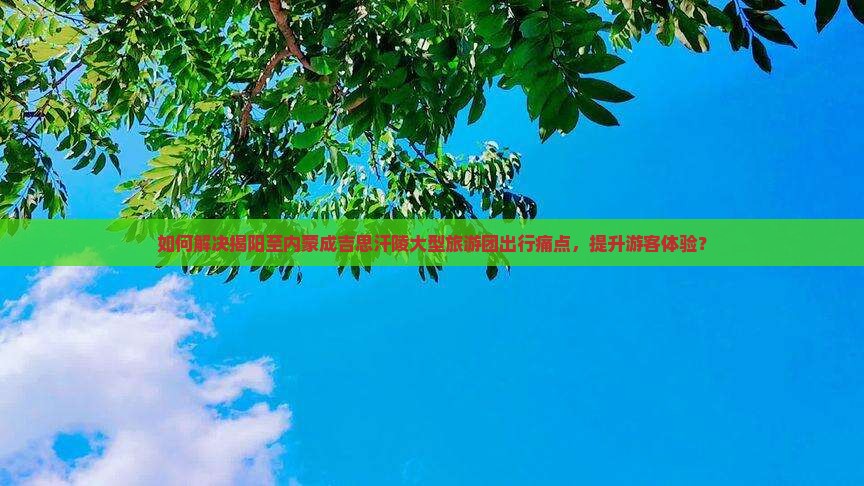 如何解决揭阳至内蒙成吉思汗陵大型旅游团出行痛点，提升游客体验？