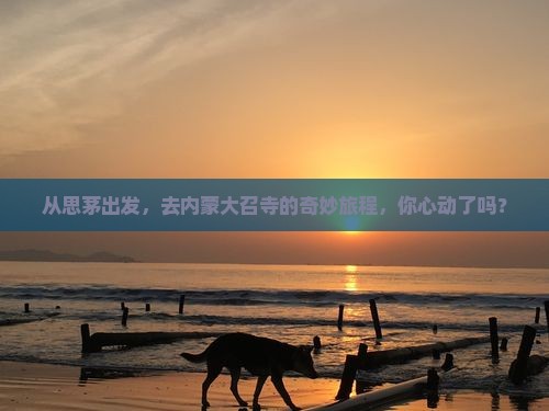 从思茅出发，去内蒙大召寺的奇妙旅程，你心动了吗？