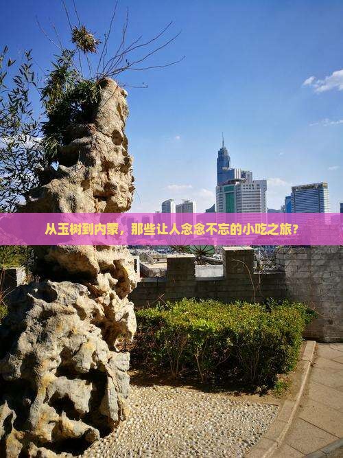 玉树去内蒙旅游小吃