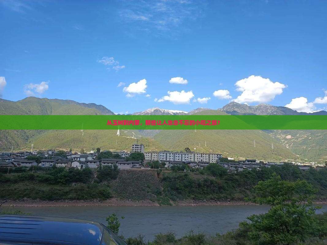 玉树去内蒙旅游小吃