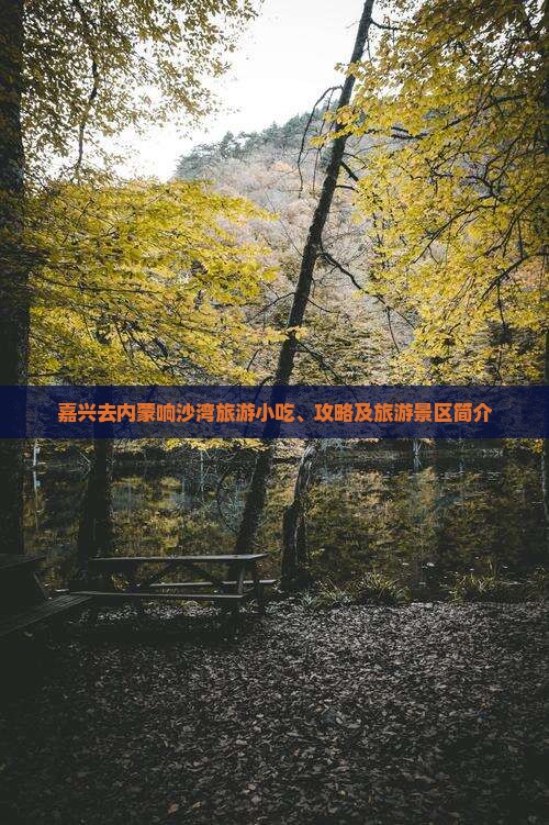 嘉兴去内蒙响沙湾旅游小吃