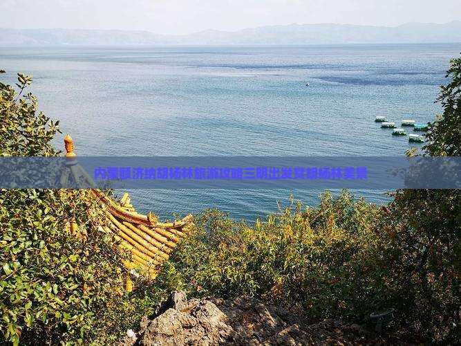 三明去内蒙额济纳胡杨林大型旅游团