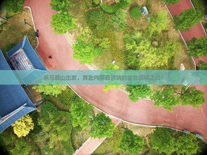 马鞍山去内蒙额济纳胡杨林攻略