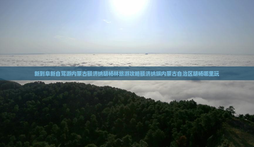 阜新到内蒙额济纳胡杨林哪里玩
