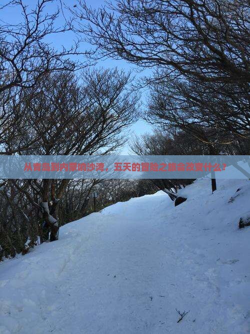 青岛去内蒙响沙湾五日游