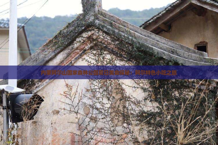 夏天到内蒙阿尔山国家森林公园旅游小吃