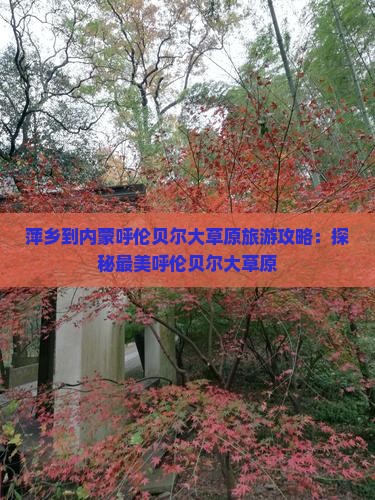 萍乡到内蒙呼伦贝尔大草原哪里玩