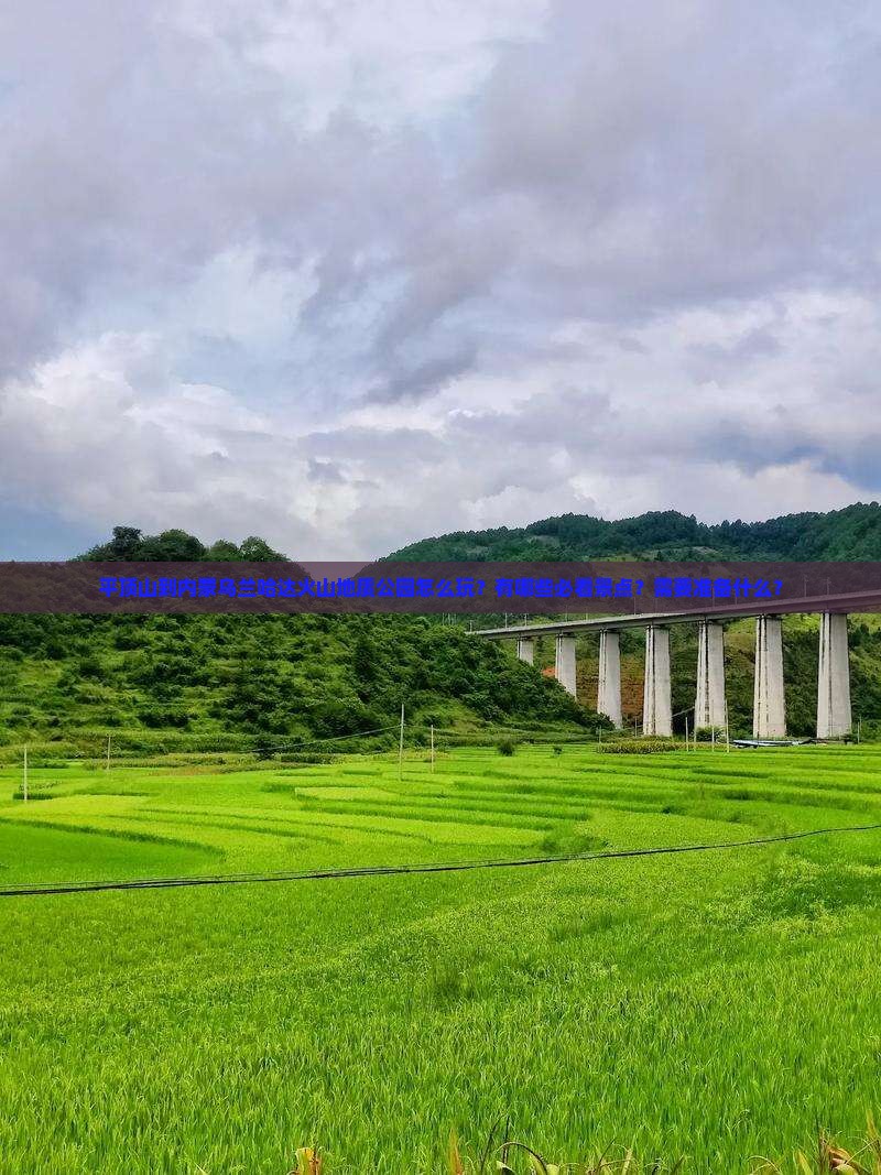平顶山到内蒙乌兰哈达火山地质公园攻略 平顶山到内蒙乌兰哈达火山地质公园攻略