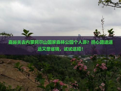 嘉峪关去内蒙阿尔山国家森林公园个人游