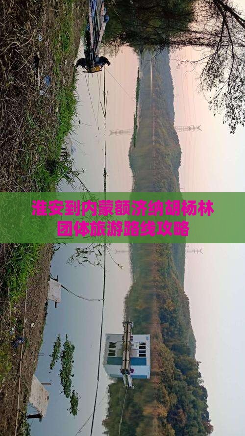 淮安到内蒙额济纳胡杨林团体旅游