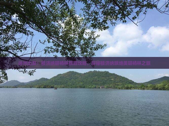 徐州去内蒙额济纳胡杨林哪里玩