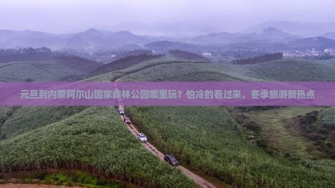 元旦到内蒙阿尔山国家森林公园哪里玩