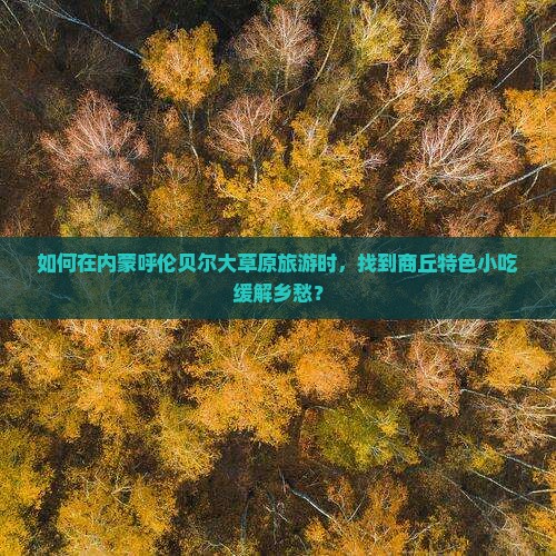 商丘到内蒙呼伦贝尔大草原旅游小吃