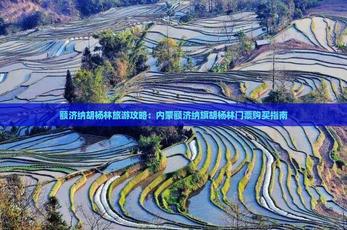醴陵去内蒙额济纳胡杨林门票
