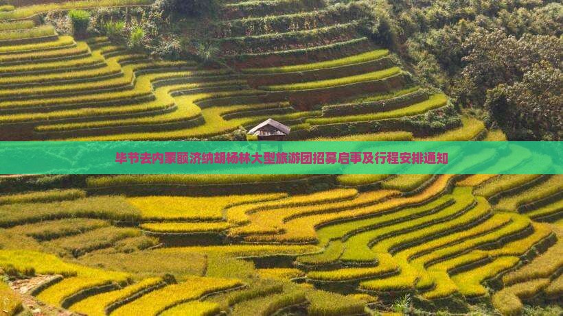 毕节去内蒙额济纳胡杨林大型旅游团 毕节去内蒙额济纳胡杨林大型旅游团