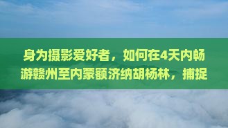 赣州去内蒙额济纳胡杨林四日游