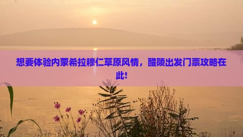 醴陵去内蒙希拉穆仁草原门票