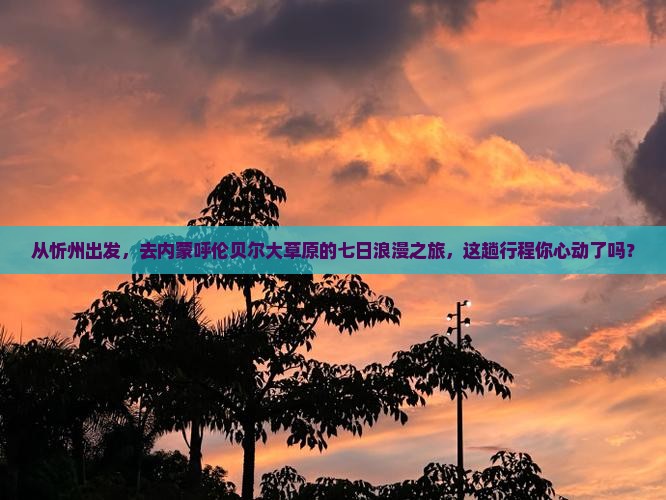 忻州到内蒙呼伦贝尔大草原七日游