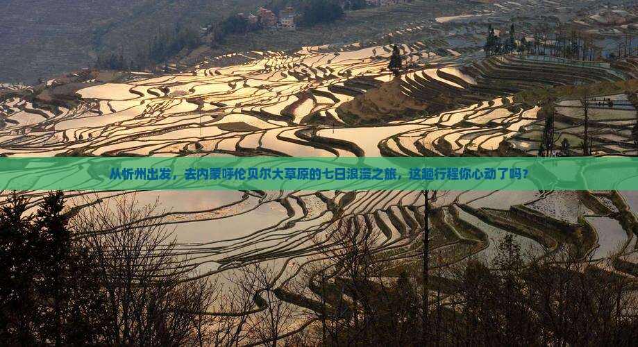 忻州到内蒙呼伦贝尔大草原七日游
