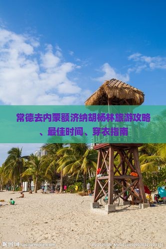 常德去内蒙额济纳胡杨林旅游