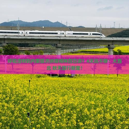 呼和浩特到内蒙额济纳胡杨林四日游