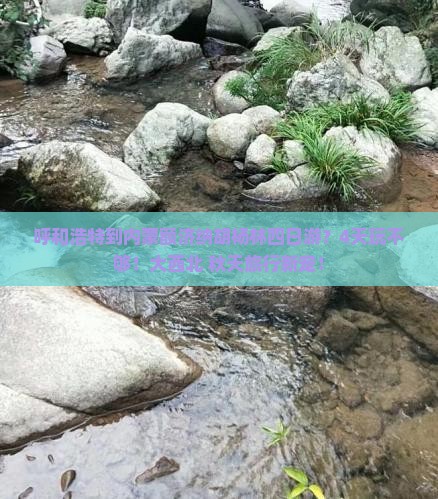 呼和浩特到内蒙额济纳胡杨林四日游