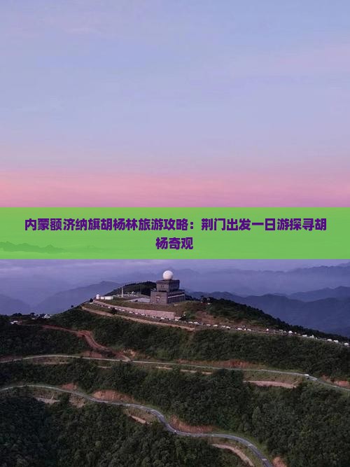 荆门到内蒙额济纳胡杨林一日游