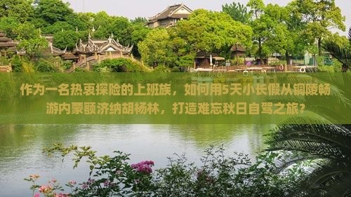 铜陵去内蒙额济纳胡杨林大型旅游团