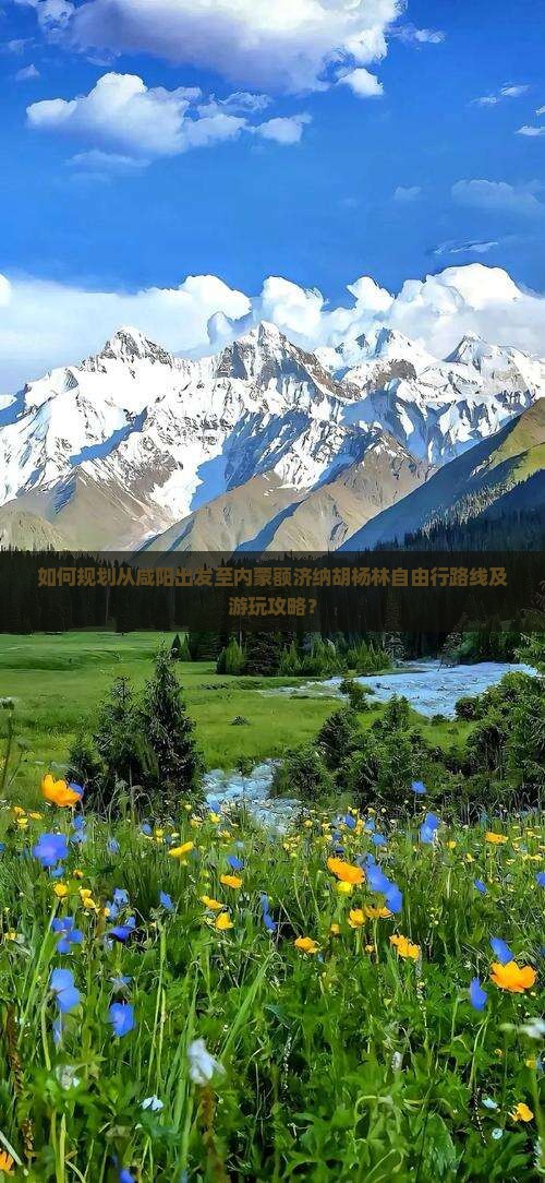 咸阳去内蒙额济纳胡杨林自由团
