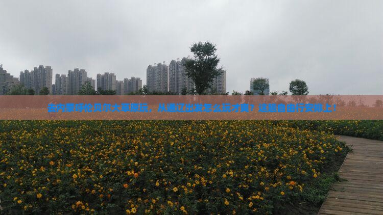 通辽市到内蒙呼伦贝尔大草原自由行