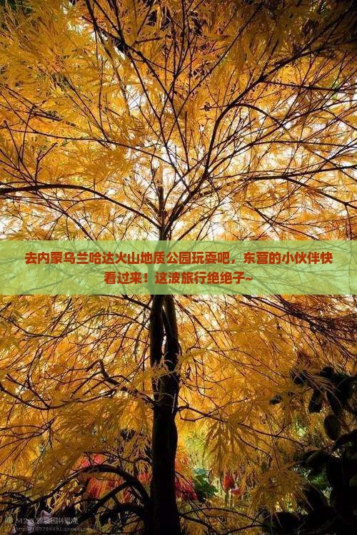 东营去内蒙乌兰哈达火山地质公园旅游