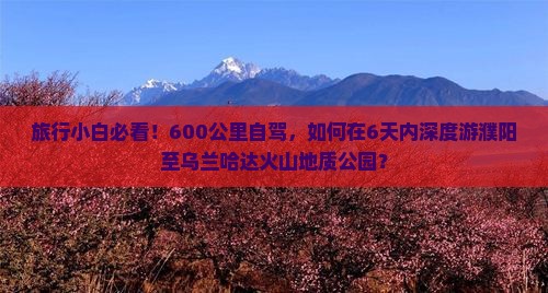 濮阳到内蒙乌兰哈达火山地质公园六日游