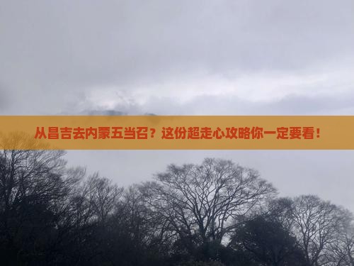 昌吉到内蒙五当召攻略