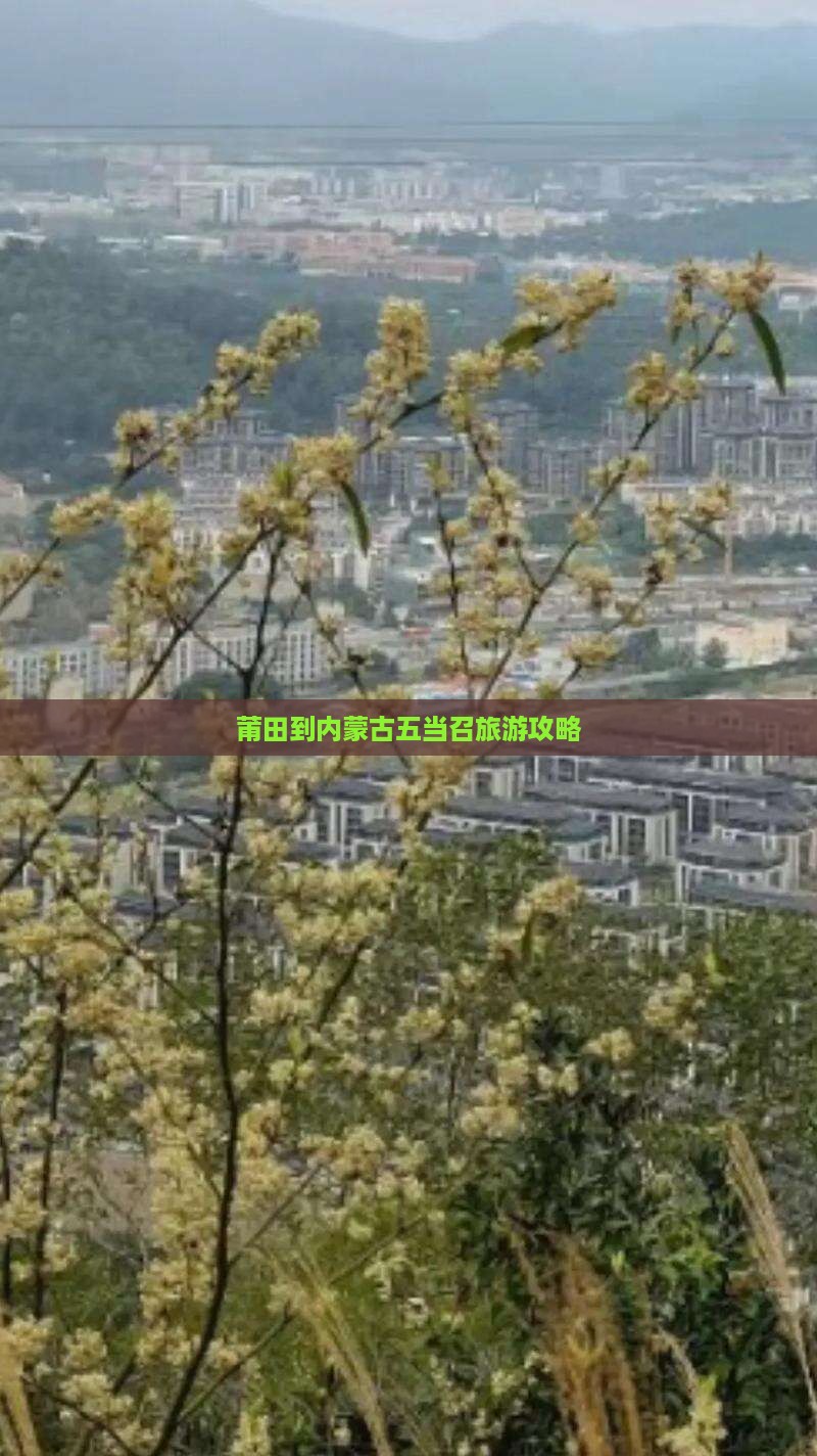莆田到内蒙五当召个人游