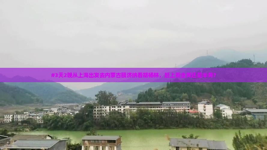 上海去内蒙额济纳胡杨林攻略
