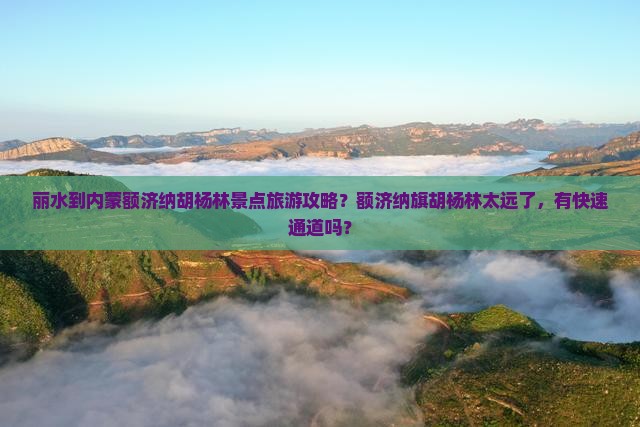 丽水去内蒙额济纳胡杨林景点