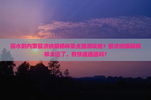 丽水去内蒙额济纳胡杨林景点