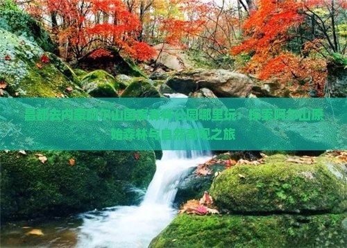 昌都去内蒙阿尔山国家森林公园哪里玩