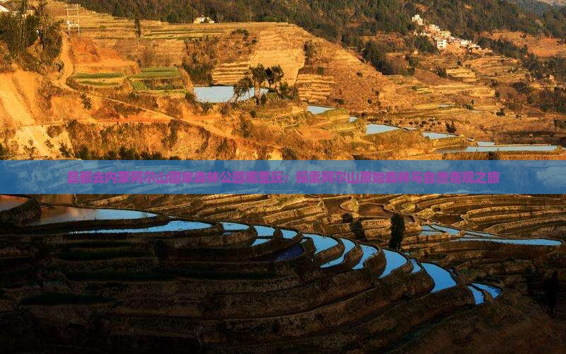 昌都去内蒙阿尔山国家森林公园哪里玩