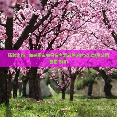 孝感到内蒙乌兰哈达火山地质公园自由团