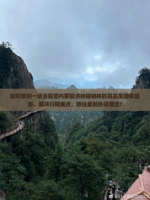洛阳到内蒙额济纳胡杨林团体旅游 洛阳到内蒙额济纳胡杨林团体旅游