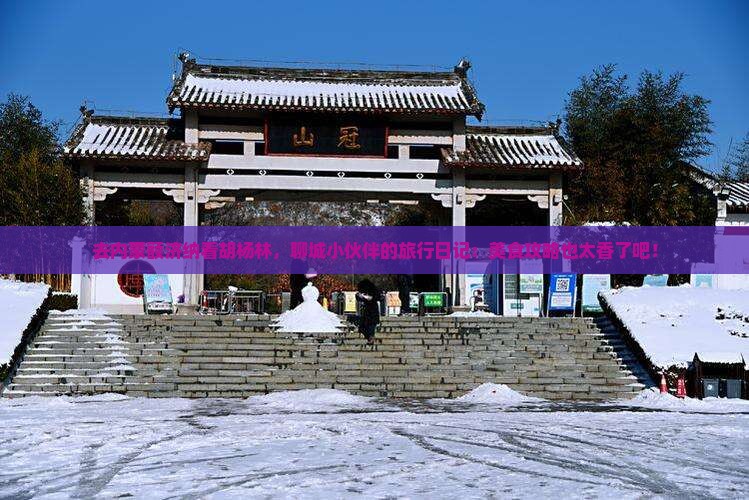聊城去内蒙额济纳胡杨林旅游小吃